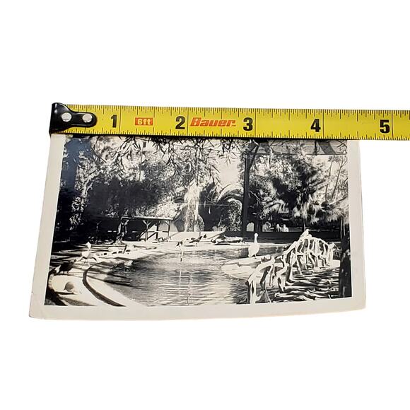 Vtg B&W 1940s Photo Found Bird Park Water Trees Snapshot - Picture 4 of 4